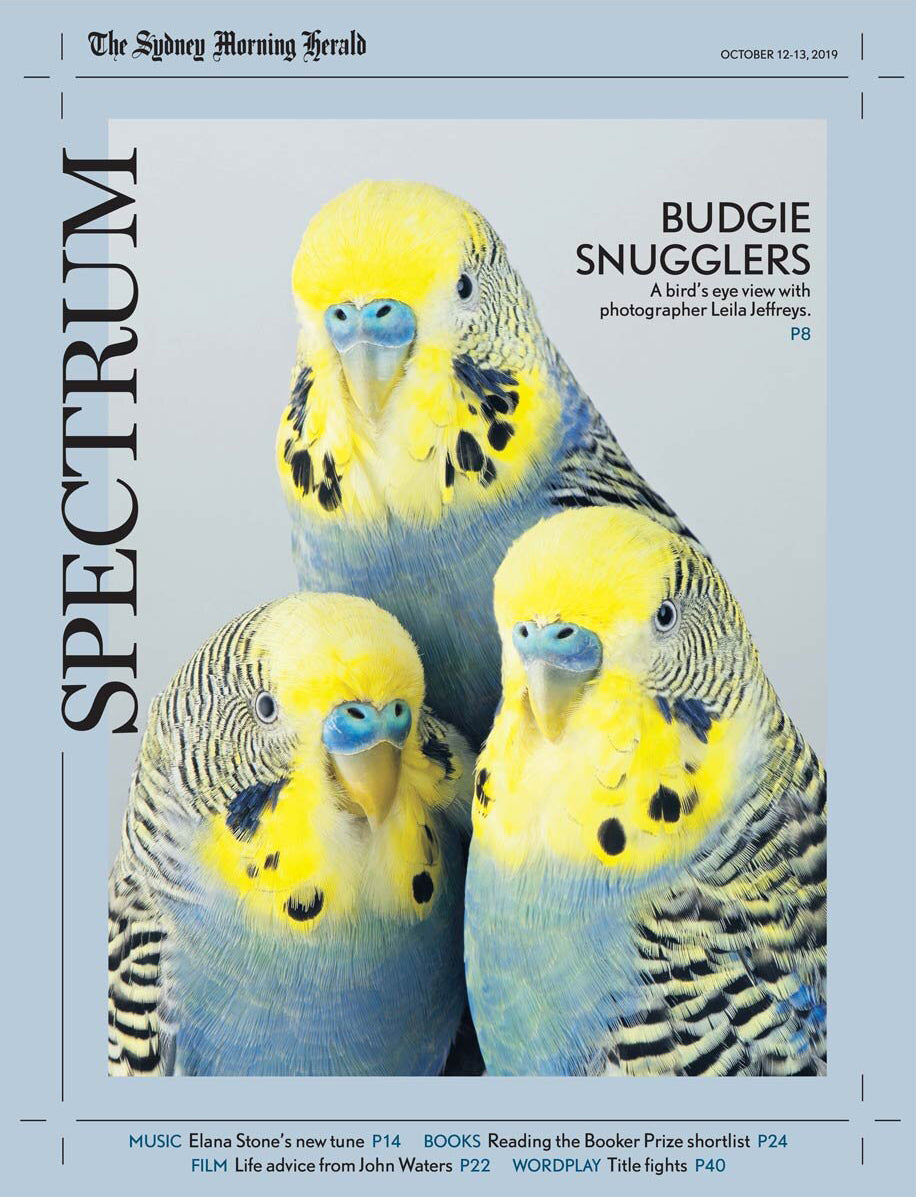 Sydney Morning Herald, 2019