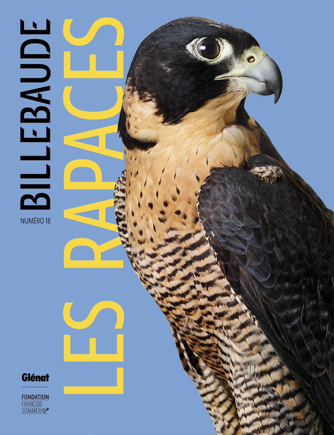 Billebaude, Numéro 18