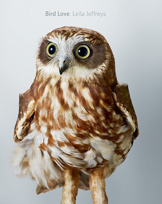 Bird Love (USA/UK ed)