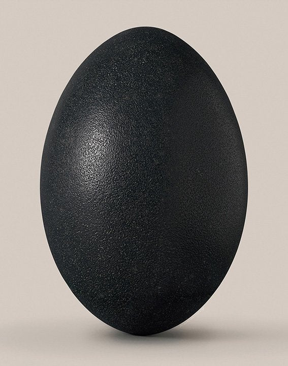 Emu egg