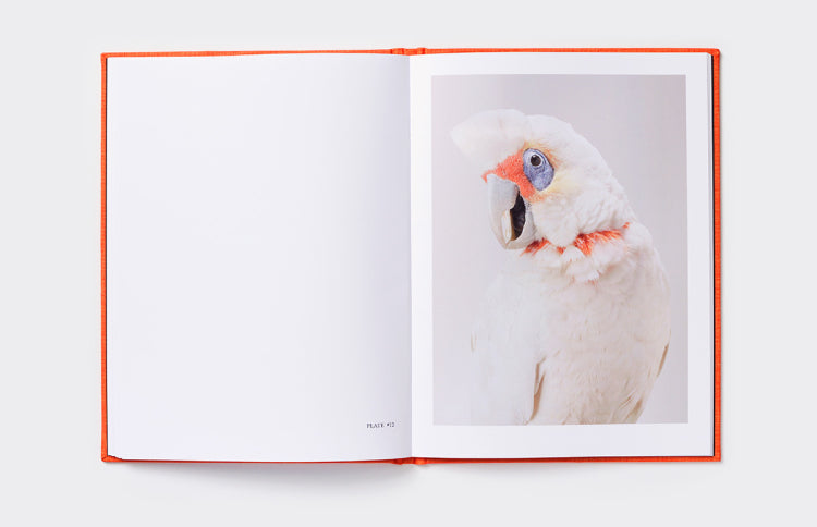 Interview with a Cockatoo (or two) Limited Edition - Sold Out