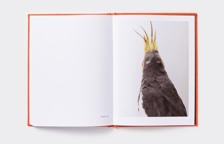 Interview with a Cockatoo (or two) Limited Edition - Sold Out