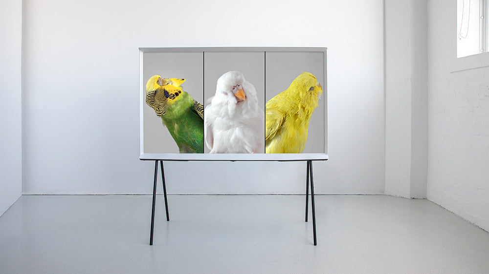 Nature Is Not A Place To Visit. It Is Home.
Video Art.