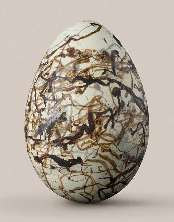 Spotted bowerbird egg No.2