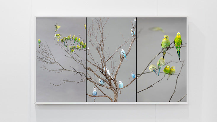 Nature Is Not A Place To Visit. It Is Home.
Video Art.