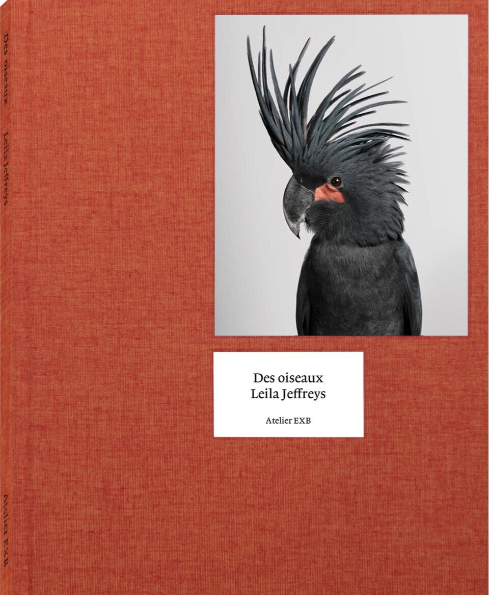 Des Oiseaux - Leila Jeffreys