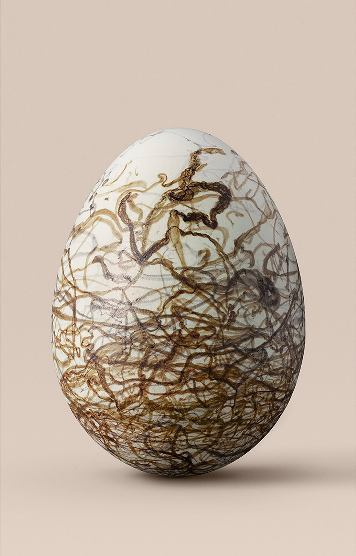 Spotted bowerbird egg