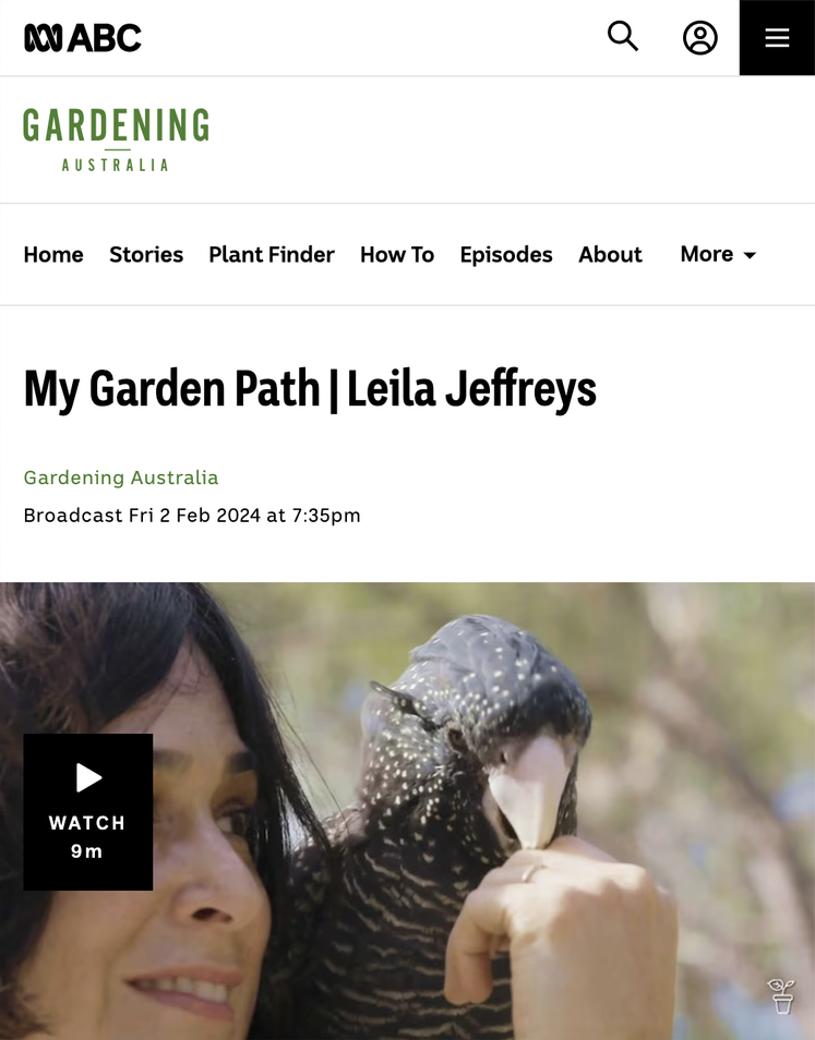 My Garden Path | Leila Jeffreys