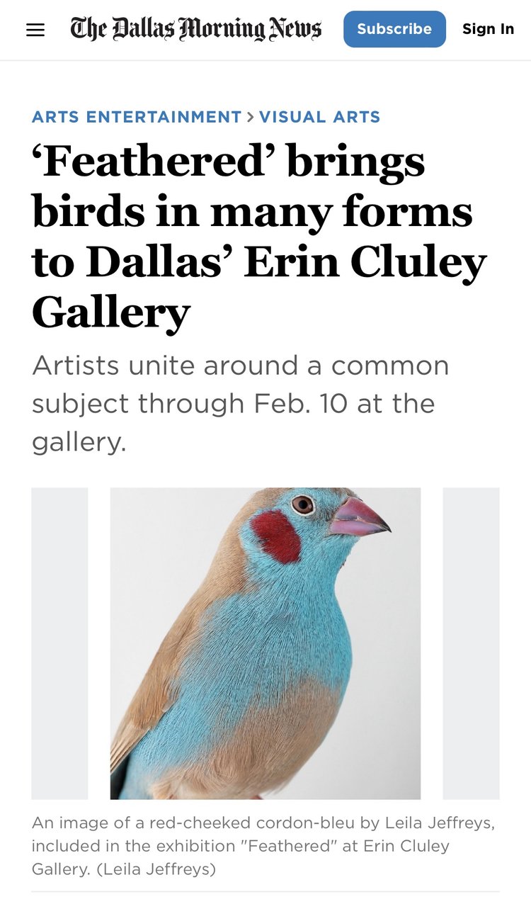 ‘Feathered’ brings birds in many forms to Dallas’ Erin Cluley Gallery