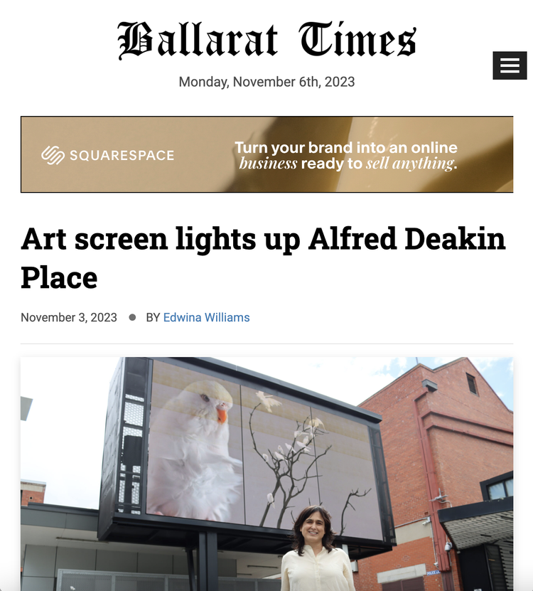 Art screen lights up Alfred Deakin Place