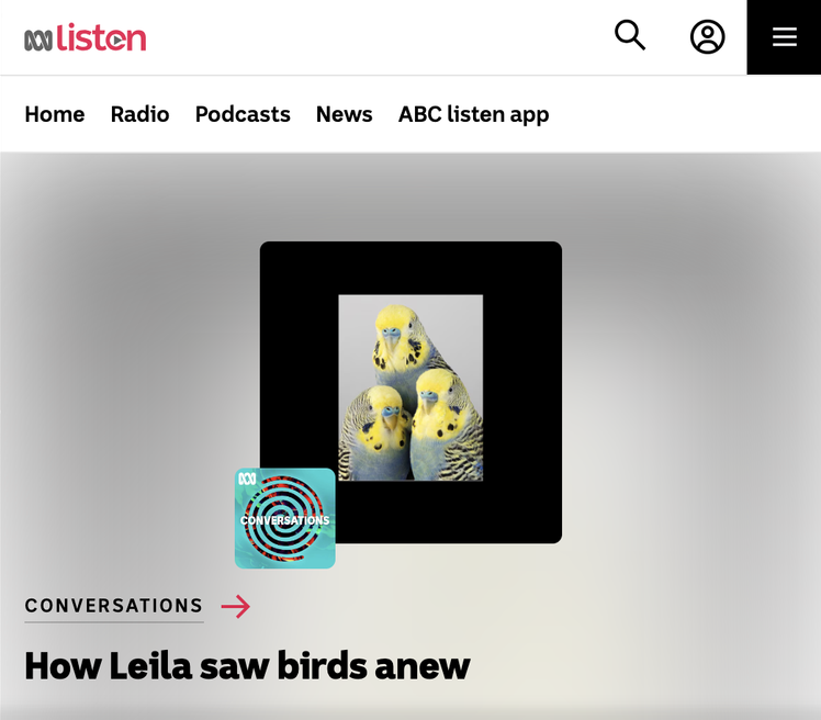 How Leila saw birds anew