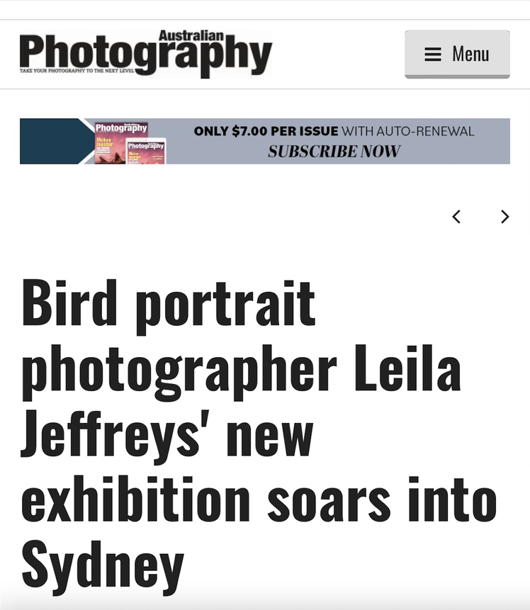 Bird portrait photographer Leila Jeffreys' new exhibition soars into Sydney