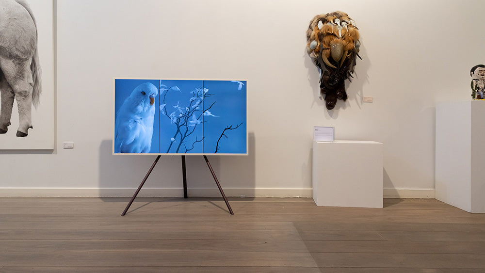 Nature Is Not A Place To Visit. It Is Home. Video Art.