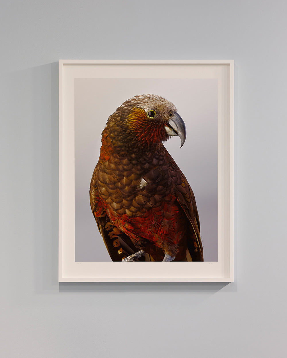 Kākā