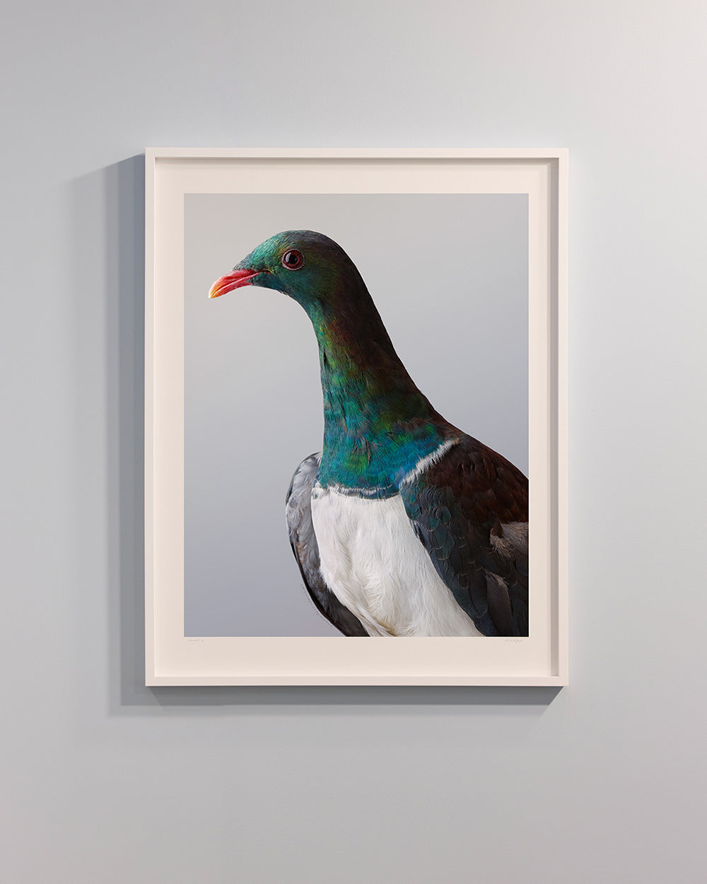 Kererū No.2