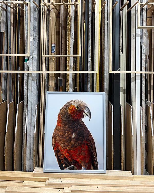 Kākā