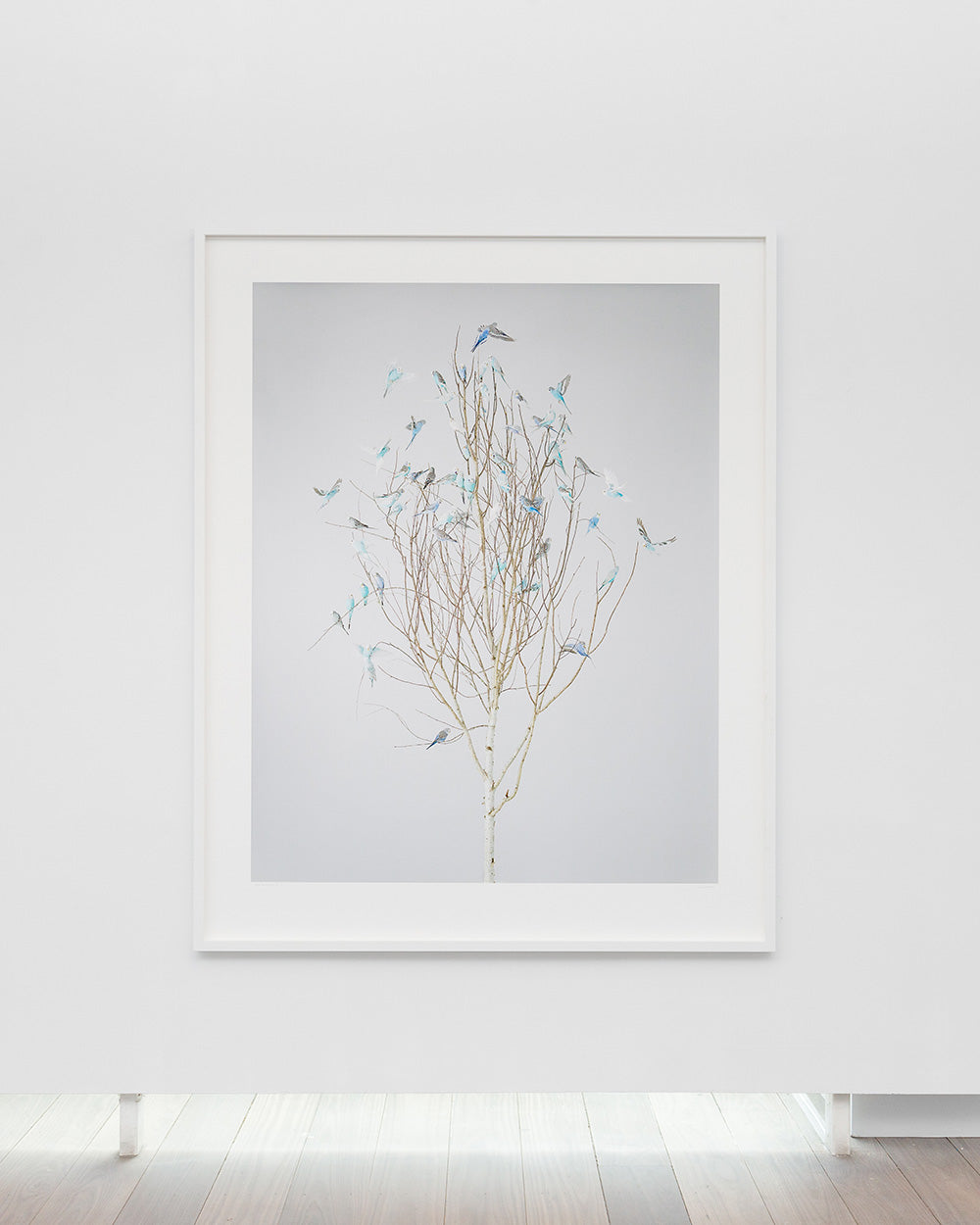 Blue Blossoms 2