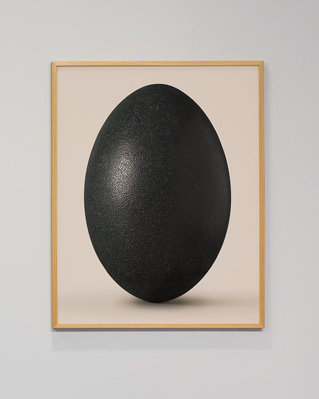 Emu egg